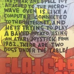 Flatstock 24 - 2010 Jay Ryan Poster Austin, TX Austin Convention Center Gig Posters