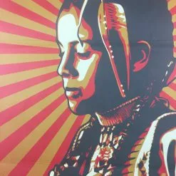 Art Prints The Black Hills Are Not For Sale - 2012 Shepard Fairey Art Print Poster