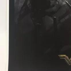 No Man's Land Wonder Woman - Robin Har Poster Art Print Movie/TV Posters