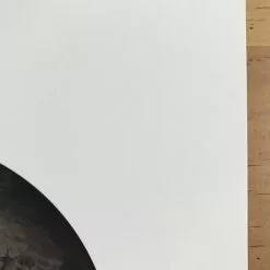 Fat Bird - 2017 Mike Mitchell Poster Himalayan Bulbul Art Prints