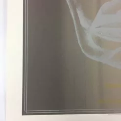 Igor Stravinsky's Rite Of Spring - 2013 Dan MacAdam Crosshair Poster Chicago, IL 13 Igor Stravinsky's Rite Of Spring - 2013 Dan MacAdam Crosshair Poster Chicago, IL