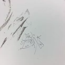 Art Prints Super Season - 2008 Elph Poster Art Print POW