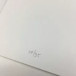 Untitled (Scooter) - 2008 Mike Budai Poster Art Print Art Prints