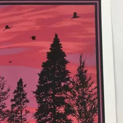 Art Prints Big Birds Flying Across The Sky - 2011 Dan McCarthy Poster Art Print