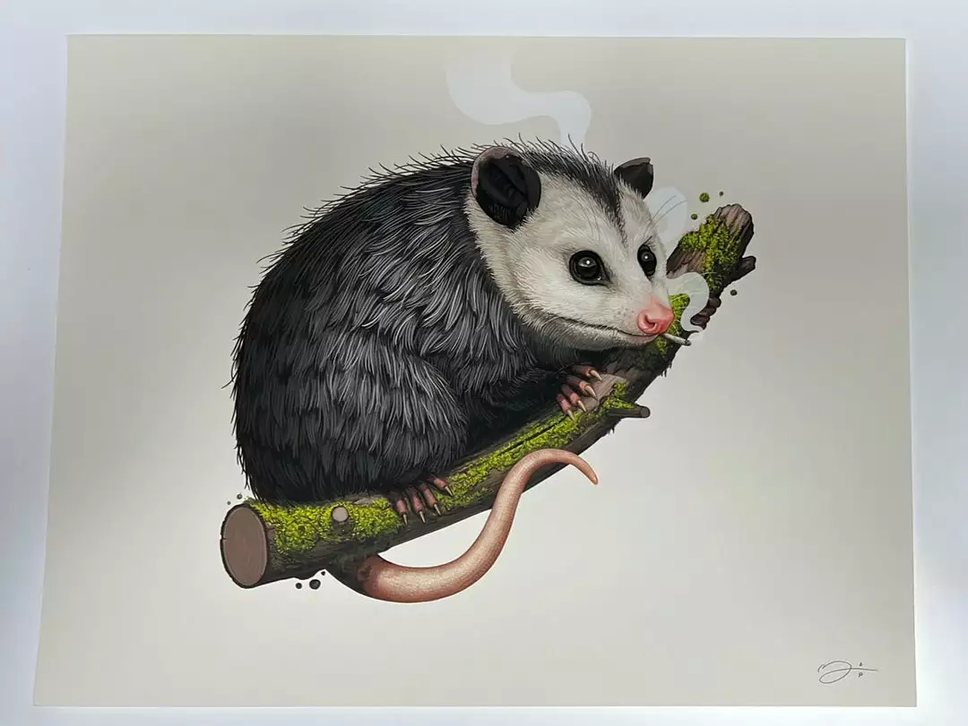Virginia Opossum - 2018 Mike Mitchell Poster Art Print Variant 4 Virginia Opossum - 2018 Mike Mitchell Poster Art Print Variant