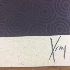 Gig Posters Bob Dylan - 2013 Xray Poster Art Print 13 Gig Posters Bob Dylan - 2013 Xray Poster Art Print