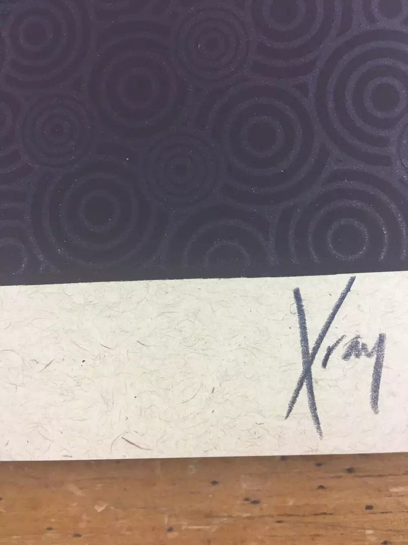 Gig Posters Bob Dylan - 2013 Xray Poster Art Print 6 Gig Posters Bob Dylan - 2013 Xray Poster Art Print