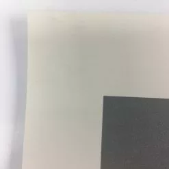 Art Prints Youth - 2012 Justin Santora Poster Art Print