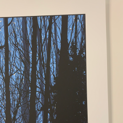 A Night In The Forest - 2010 Dan McCarthy Poster Art Print