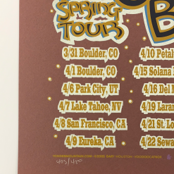 Yonder Mountain String Band - 2005 Gary Houston Poster Spring Tour