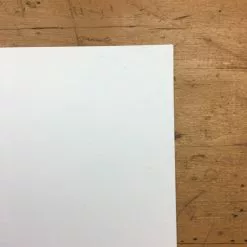 Gig Posters Tyvek - 2009 Mike Budai Poster Pittsburgh, PA Rickety House