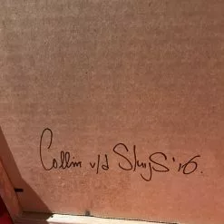 Untitled 15 - 2016 Collin Van Der Sluijs Original Painting FRAMED Signed