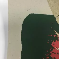 The Disco Biscuits - 2009 Todd Slater Poster Chicago, IL Congress Theater 13 The Disco Biscuits - 2009 Todd Slater Poster Chicago, IL Congress Theater