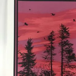 Art Prints Big Birds Flying Across The Sky - 2011 Dan McCarthy Poster Art Print
