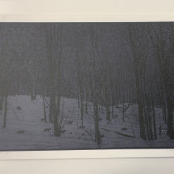 Art Prints Guiding Light - 2010 Dan McCarthy Poster Art Print