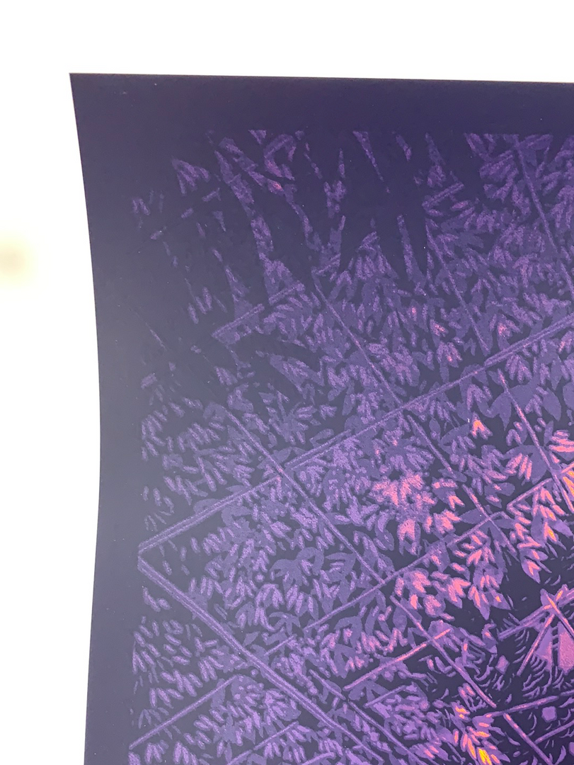 The Beacon Jams Ghosts Of The Forest - 2020 Daniel Danger Poster Trey Anastasio 5 The Beacon Jams Ghosts Of The Forest - 2020 Daniel Danger Poster Trey Anastasio