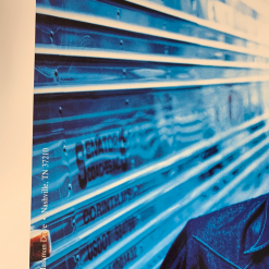 Michael Halsband The Wallflowers - Michael Ward Double Sided Poster Gibson Guitar USA