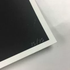 No Man's Land Wonder Woman - Robin Har Poster Art Print Movie/TV Posters