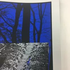 Gig Posters The Dead Weather - 2010 Todd Slater Poster Hollywood, CA Hollywood Palladium