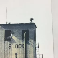 Flatstock 21 - 2009 Dan MacAdam Crosshair Poster Chicago, IL Union Park