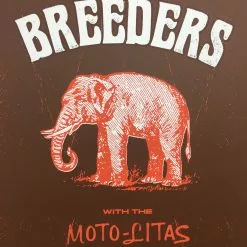 Gig Posters The Breeders - 2002 Methane Studios Poster Atlanta, GA Echo Lounge