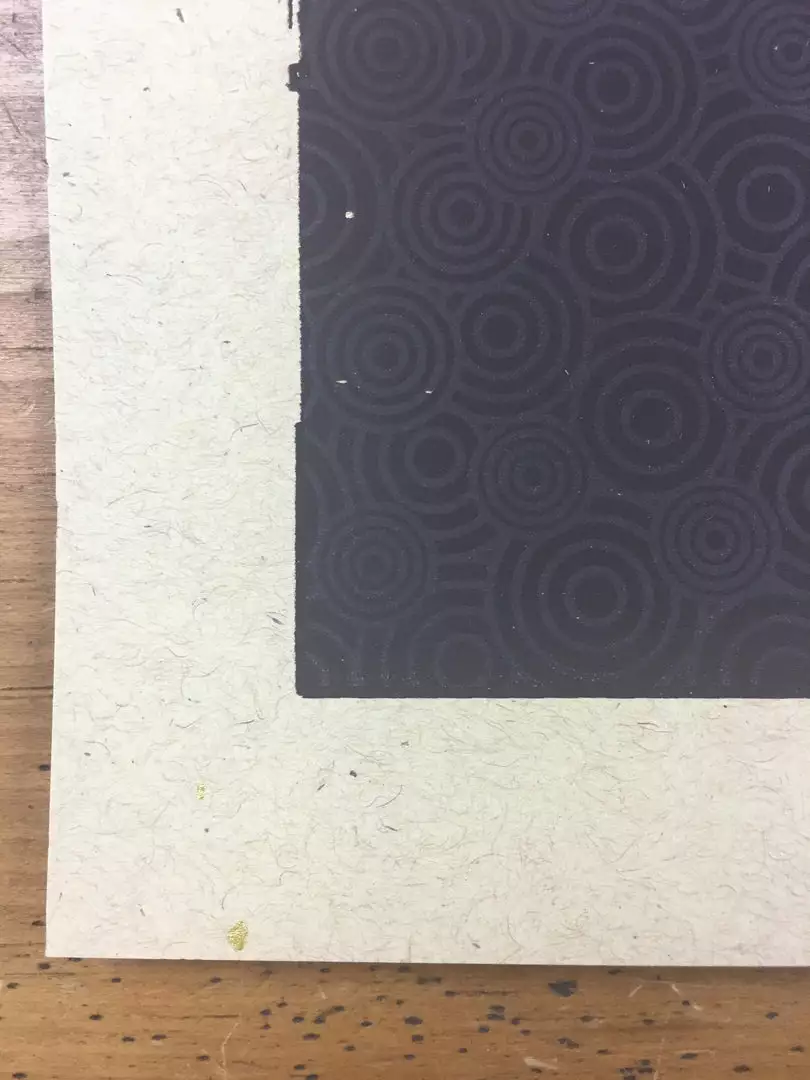 Gig Posters Bob Dylan - 2013 Xray Poster Art Print 8 Gig Posters Bob Dylan - 2013 Xray Poster Art Print