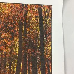 Art Prints Elder Days - 2010 Dan McCarthy Poster Art Print