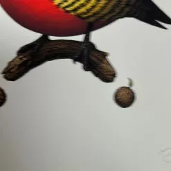 Art Prints Fat Bird - 2020 Mike Mitchell Poster Yellow Fronted Woodpecker AP 12 Art Prints Fat Bird - 2020 Mike Mitchell Poster Yellow Fronted Woodpecker AP