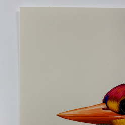 Fat Bird - 2020 Mike Mitchell Poster Rufous-Backed Dwarf Kingfisher 1st Art Prints 10 Fat Bird - 2020 Mike Mitchell Poster Rufous-Backed Dwarf Kingfisher 1st Art Prints