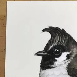 Fat Bird - 2017 Mike Mitchell Poster Himalayan Bulbul Art Prints