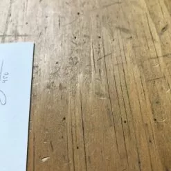 Fat Bird - 2017 Mike Mitchell Poster Himalayan Bulbul Art Prints