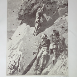 Sold Out Posters Winslow Homer - 1968 Whitney Museum Art Print Poster Original Vintage Movie/TV Posters