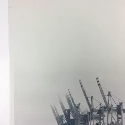 Cranes - 2011 Dan MacAdam Crosshair Poster Art Print Art Prints