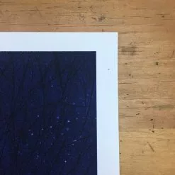 Flatstock 13 - 2007 Daniel Danger Poster Chicago, IL Union Park 13 Flatstock 13 - 2007 Daniel Danger Poster Chicago, IL Union Park