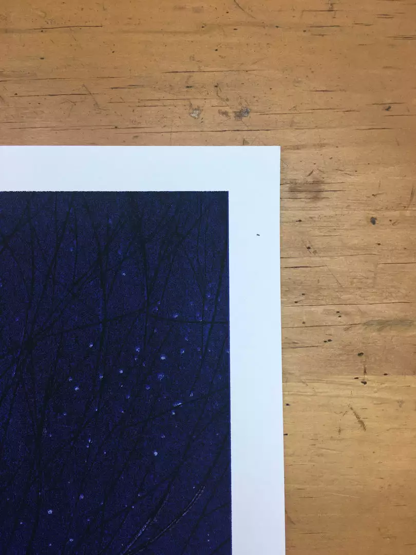 Flatstock 13 - 2007 Daniel Danger Poster Chicago, IL Union Park 7 Flatstock 13 - 2007 Daniel Danger Poster Chicago, IL Union Park