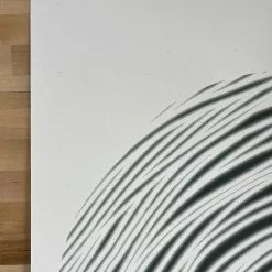 The Light We Reflect - 2021 Jay Ryan Poster Art Print