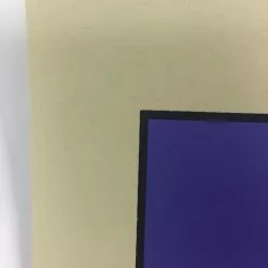 Raleigh St. Clair - 2011 Todd Slater Poster Art Print