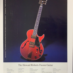 Michael Halsband The Wallflowers - Michael Ward Double Sided Poster Gibson Guitar USA