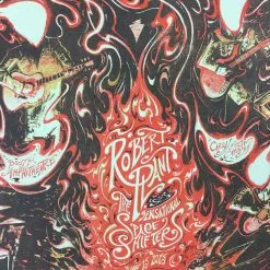 Robert Plant - 2015 Miles Tsang Poster Cary, NC Booth Amphitheater VARIANT