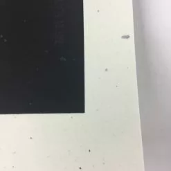 The Dead Weather - 2009 Todd Slater Poster Austin City Limits, TX Zilker Park