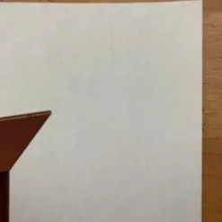 Boxo II (Ducks 2) - 2019 Mike Mitchell Poster Print SOFA Con 1st