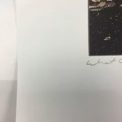 What Once Was - 2009 Dan McCarthy Poster Art Print Art Prints