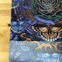 Gig Posters The (Grateful) Dead - 2009 Michael Everett Lenticular Poster Spring Tour