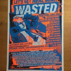Wasted Festival USA - 2005 Stainboy Poster Orange Show San Bernardino, CA Gig Posters
