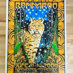 Bonnaroo - 2009 Michael Everett Poster Manchester, TN