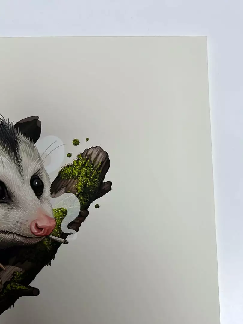 Virginia Opossum - 2018 Mike Mitchell Poster Art Print Variant 6 Virginia Opossum - 2018 Mike Mitchell Poster Art Print Variant