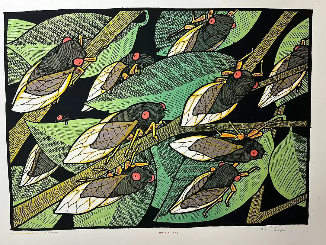 Art Prints Brood X - 2021 Jay Ryan Poster Art Print 2nd Ed 3 Art Prints Brood X - 2021 Jay Ryan Poster Art Print 2nd Ed