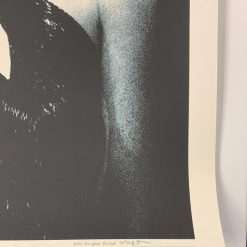 The Dead Weather 2009 Rob Jones Poster (with Damage) Chicago Vic Night 2 S/N Chicago, IL