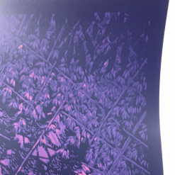 The Beacon Jams Ghosts Of The Forest - 2020 Daniel Danger Poster Trey Anastasio 9 The Beacon Jams Ghosts Of The Forest - 2020 Daniel Danger Poster Trey Anastasio