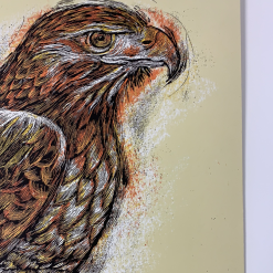 Gig Posters Ray Lamontagne - 2014 Dan Grzeca Poster Tucson, AZ Fox Theatre 11 Gig Posters Ray Lamontagne - 2014 Dan Grzeca Poster Tucson, AZ Fox Theatre